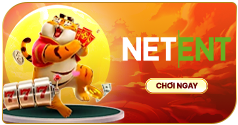 Nohu neten hấp dẫn uy tín